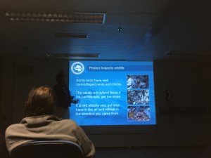 20160311 image (6)