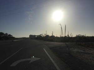 IMG_3201