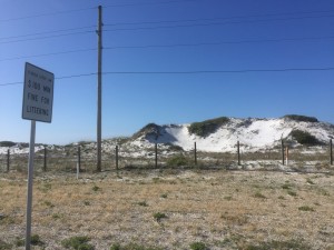 IMG_3278