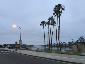 IMG_6202
