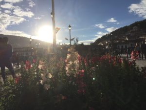 20160607-WEB (11)