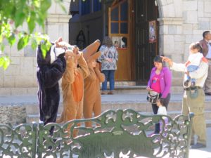 20160610-WEB (20)