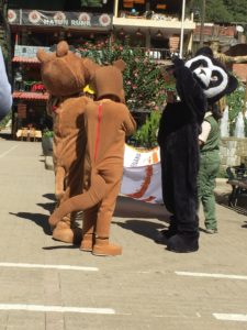 20160610-WEB (22)