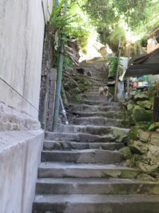20160610-WEB (4)
