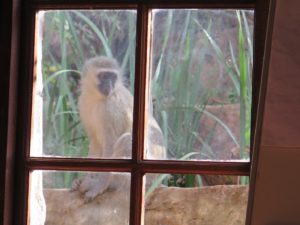 20160622-WEB (24)