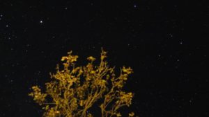20160622-WEB (60)