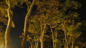 20160622-WEB (64)