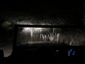 20160623-WEB (34)