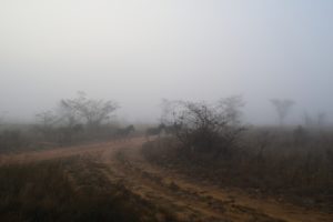 Nikon3300_00043