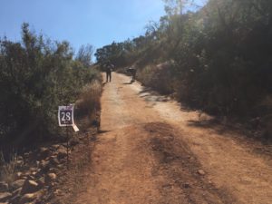 20160625-WEB (60)