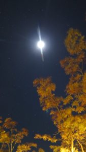 IMG_9159