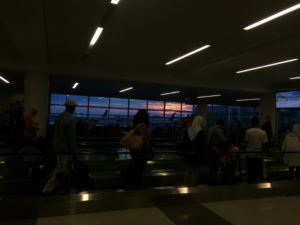 IMG_1291