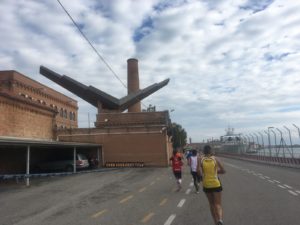 20161023-venicemarathonsmall-63